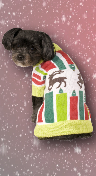Reindeer Ugly Christmas Sweater Pet Costume