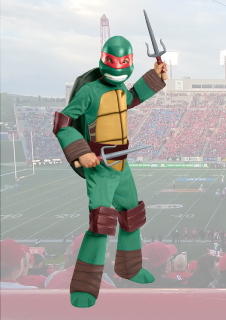 Teenage Mutant Ninja Turtles Raphael 
